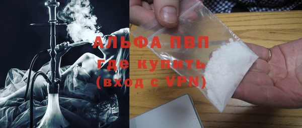 прущие грибы Беломорск