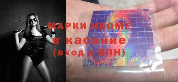 прущие грибы Беломорск