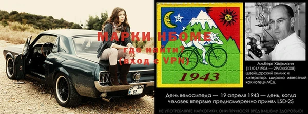 прущие грибы Беломорск