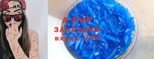 прущие грибы Беломорск